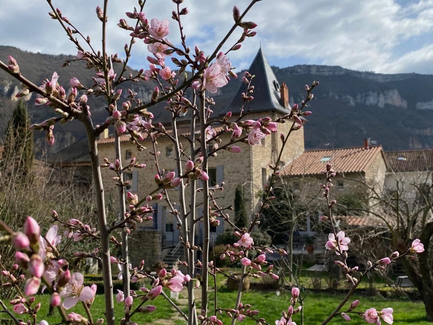 孔佩尔Les Frejals住宿加早餐旅馆 外观 照片